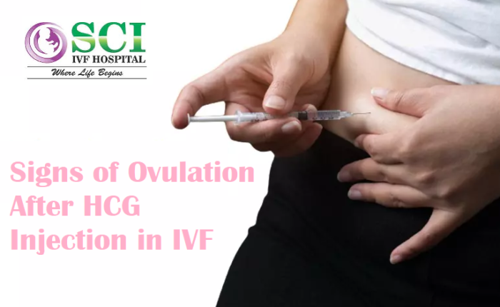 Signs of Ovulation After HCG Injection in IVF